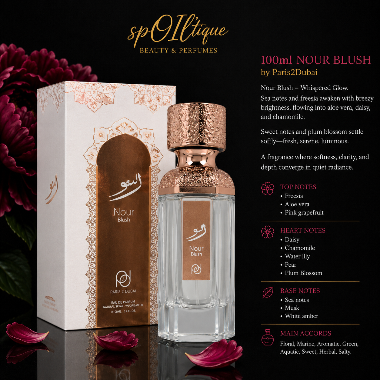 Nour Blush Perfume | Paris2Dubai